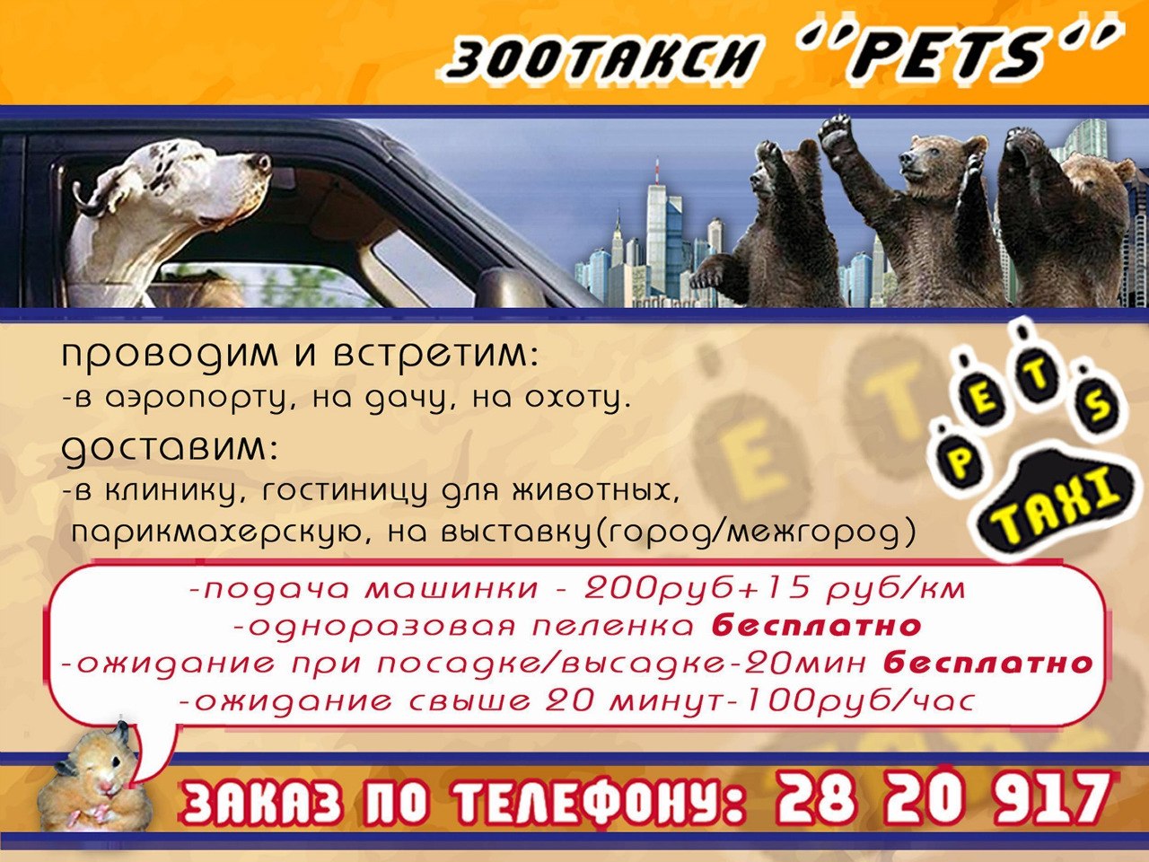 Зоотакси Красноярска - такси для животных, заказ по тел: 28-20-917 NtkWVUSrA40